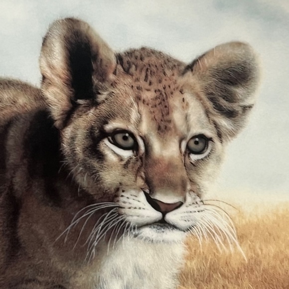 Young Explorer by Charles Fracé  Small Wonders of the Wild Plate # 3607 C - Picture 2 of 13